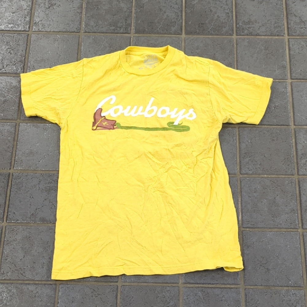 The lost bros woody shirt